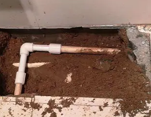 东阿测漏水哪家好