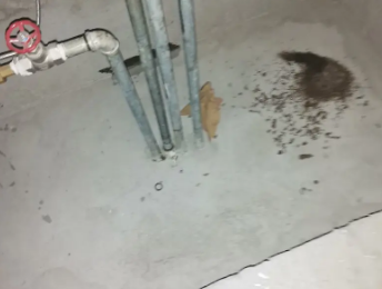 东阿卫生间测漏水价格明细