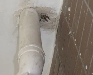 东阿漏水检测哪家好